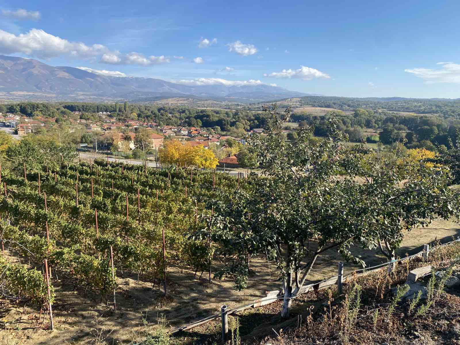 viber_izobrazhenie_2026-10-19_16-06-08-538